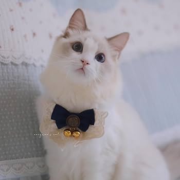 aya＊ 様 猫の首輪 Amazon | AAGWW ネコ 首輪 ネコ首輪 犬の首輪 安全バックル ベル